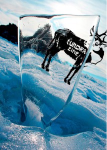 tundra-1-cover.jpg